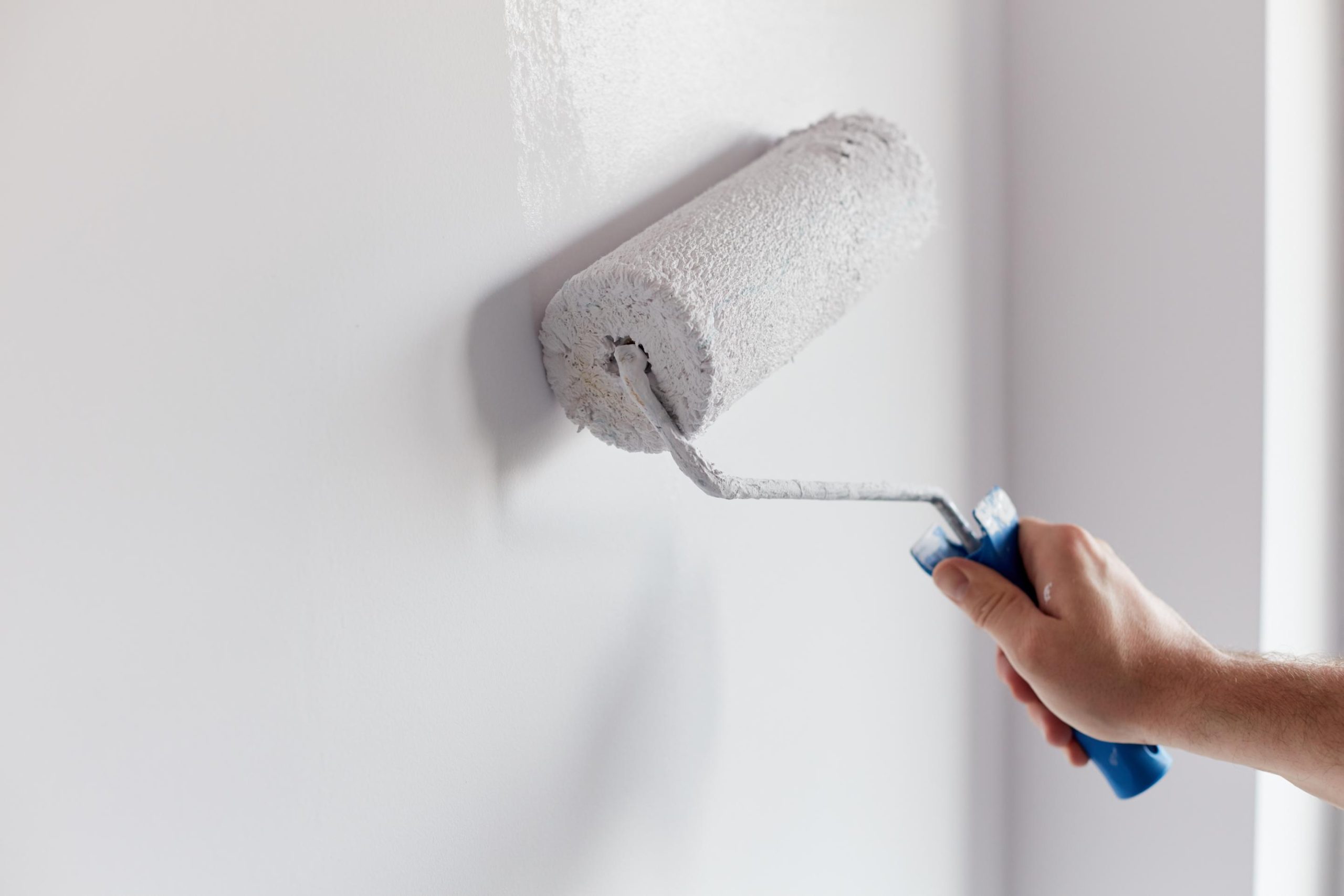 rouleau peinture