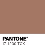 pantone-color-chip-17-1230-tcx